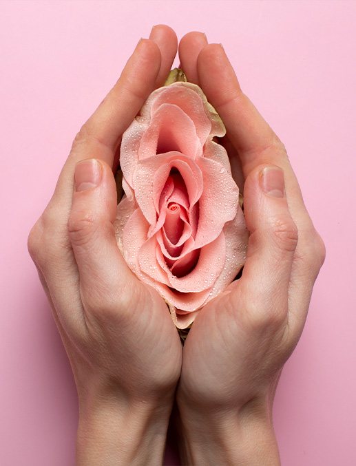 Mujer sosteniendo rosa emulando el sistema reproductivo